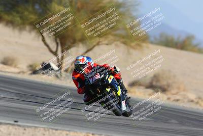 media/Jan-14-2024-SoCal Trackdays (Sun) [[2e55ec21a6]]/Turn 4 Tree of Life (155pm)/